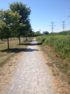 Gravel bike path.